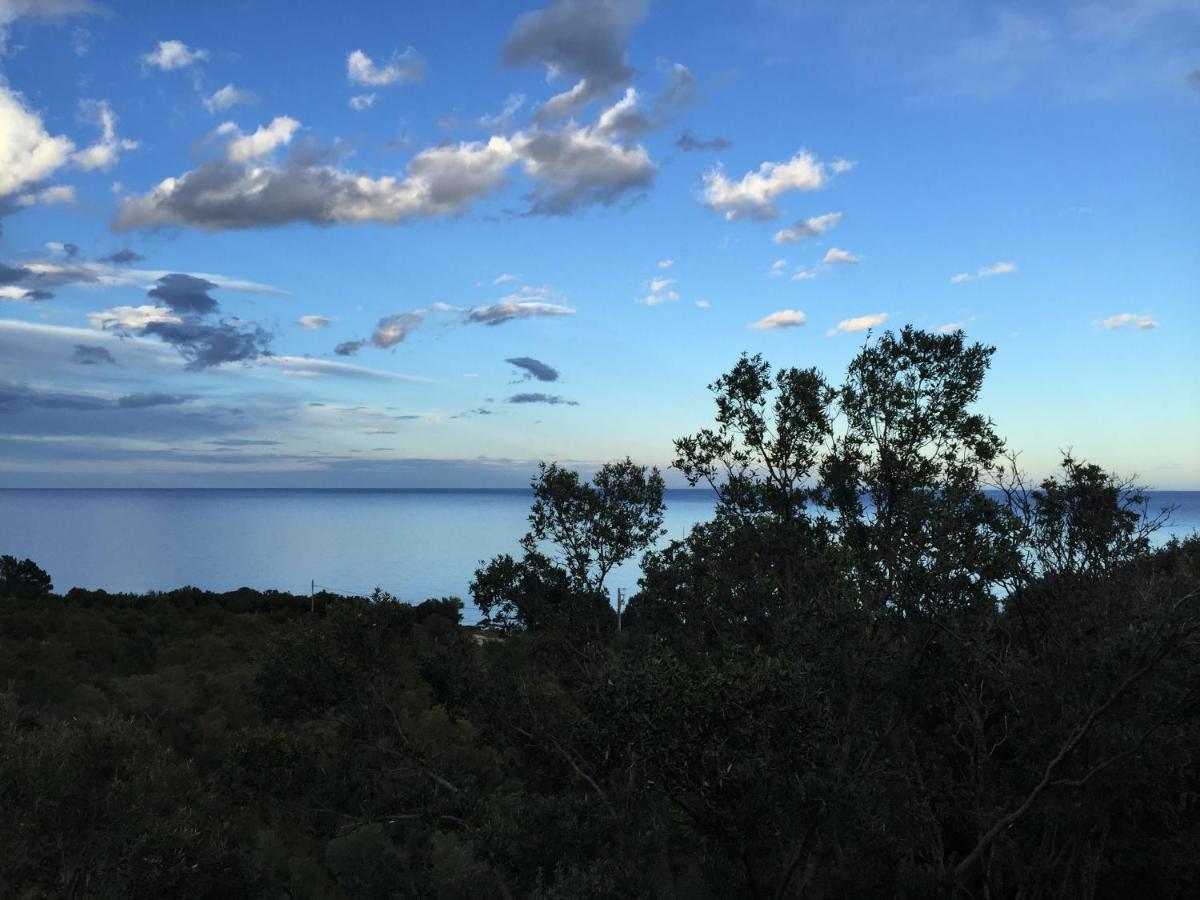 Villa L'Alpana En Bois Vue Mer A 180 Degres Sari-Solenzara Exteriér fotografie